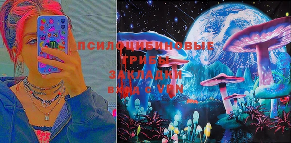 мяу мяу мука Мегион