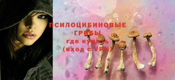 apvp Медвежьегорск