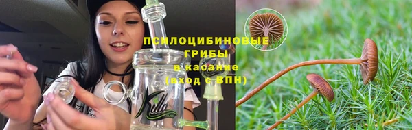 мяу мяу мука Медногорск