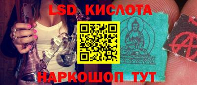 шишки Гагарин
