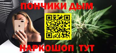 шишки Гагарин