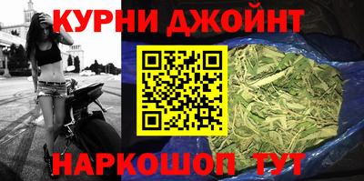 шишки Гагарин