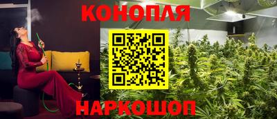 шишки Гагарин
