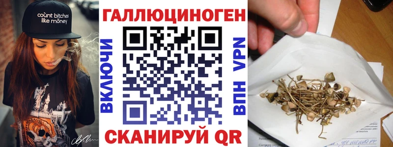 Галлюциногенные грибы Psilocybe Екатеринбург