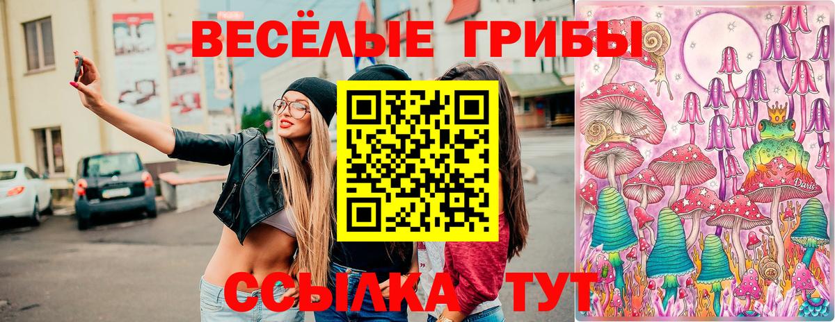 Галлюциногенные грибы MAGIC MUSHROOMS  Екатеринбург  Галлюциногенные грибы ЛСД 