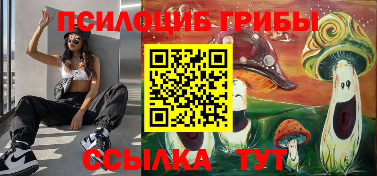 Екатеринбург  Псилоцибиновые грибы MAGIC MUSHROOMS  Галлюциногенные грибы Psilocybine cubensis  цена   Вход с VPN 