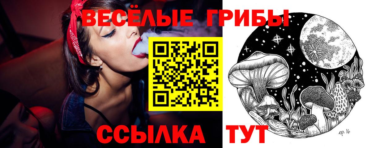 Галлюциногенные грибы Psilocybe Екатеринбург